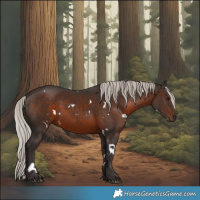 Horse Color:White Spotted Silver Brown Rabicano 