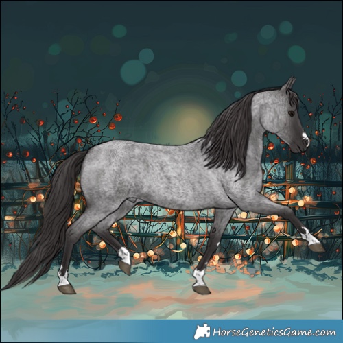 Horse Color:Smoky Blue Roan 