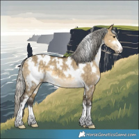 Horse Color:White Spotted Silver Buckskin Dun 