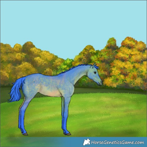 Horse Color:Watercolor Brown Dun Rabicano 
