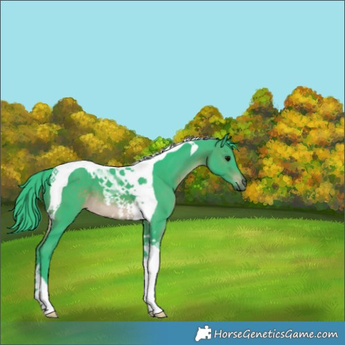 Horse Color:Watercolor Brown Tobiano 