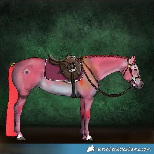 Horse Color:Gray Watercolor Liver Red Dun 