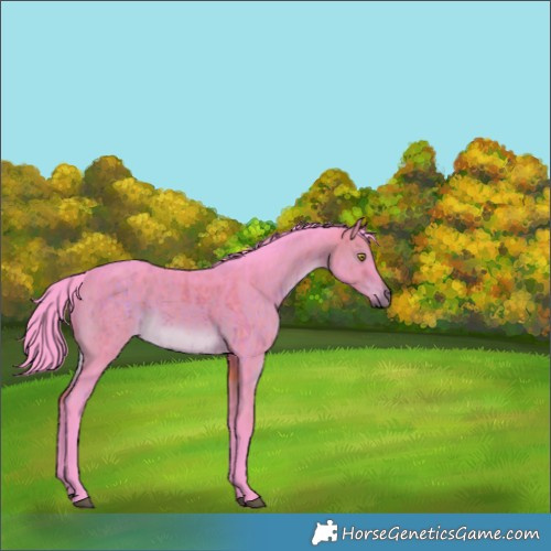 Horse Color:Watercolor Brown Dun Rabicano Brindle 