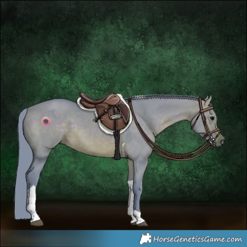 Horse Color:Watercolor Brown Dun Tobiano