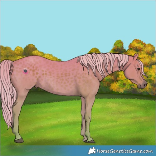 Horse Color:Watercolor White Spotted Silver Smoky Black Rabicano 