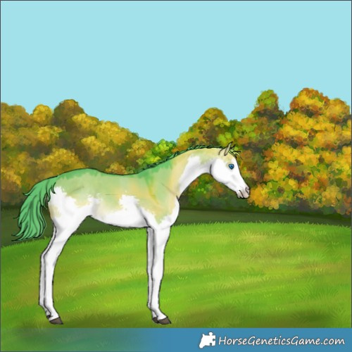 Horse Color:Watercolor Liver Red Dun Splash Rabicano 