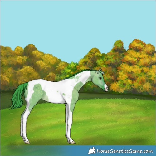 Horse Color:Watercolor Buckskin Dun Tobiano 