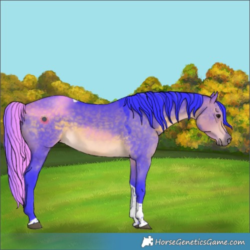 Horse Color:Watercolor Buckskin Dun Tobiano 