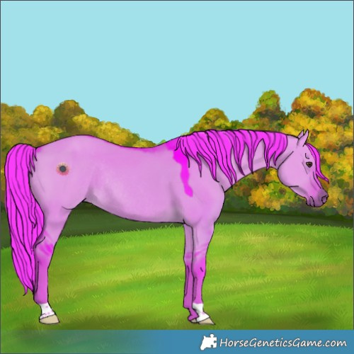 Horse Color:Watercolor Liver Red Dun Rabicano 