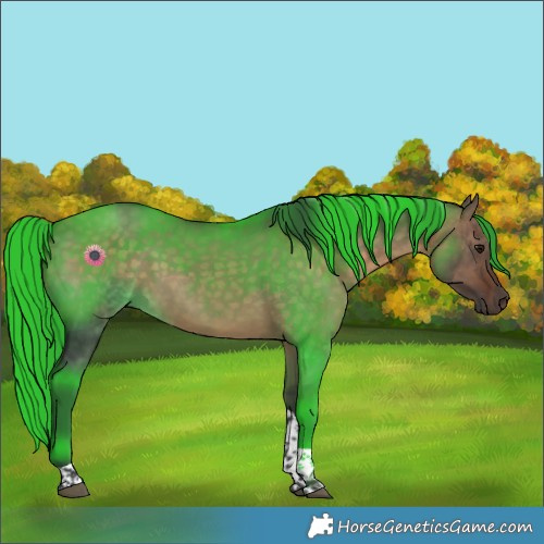 Horse Color:Brown Dun Tobiano 