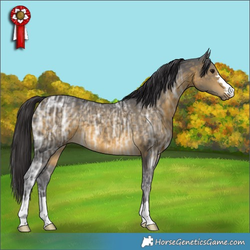 Horse Color:Buckskin Ice 