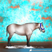 Horse Color:Gray Bay 