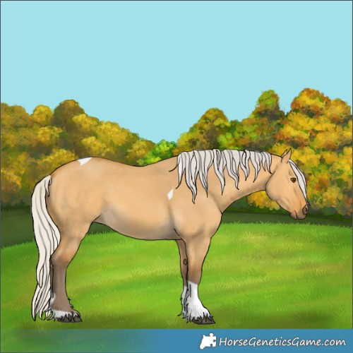 Horse Color:Silver Buckskin Dun Tobiano 