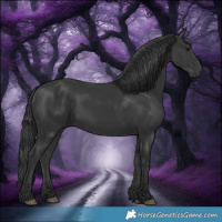 Horse Color:Black Rabicano 