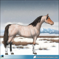 Horse Color:Bay Roan Tobiano 