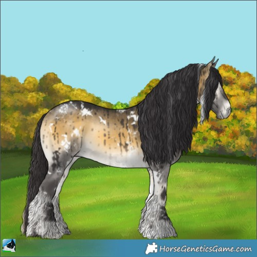 Horse Color:White Spotted Buckskin Onyx Rabicano Brindle 