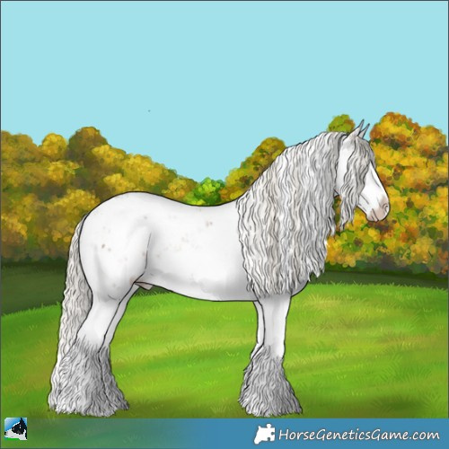 Horse Color:Liver Red Dun Mushroom Sabino Splash Rabicano Brindle 