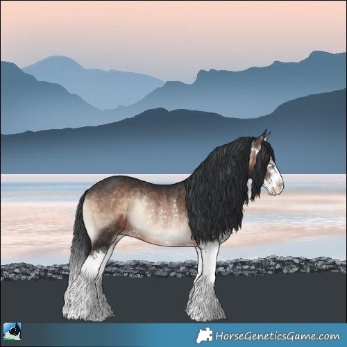 Horse Color:Brown Onyx Mushroom Sabino Splash Rabicano 