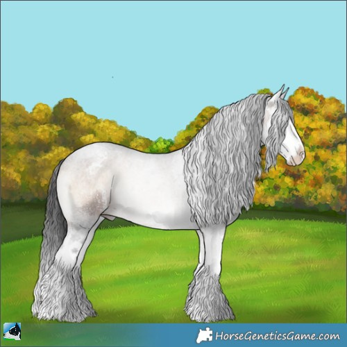Horse Color:Brown Onyx Sabino Splash 