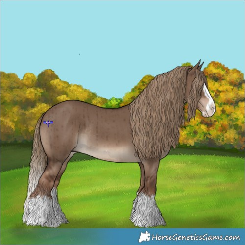 Horse Color:Liver Red Dun Sabino Splash Rabicano Brindle 