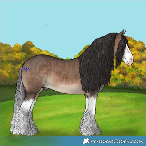 Horse Color:Brown Dun Sabino Splash Brindle 