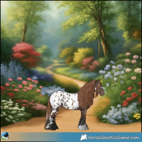 Horse Color:White Spotted Liver Chestnut Near Leopard Rabicano 