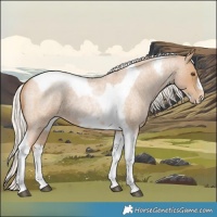 Horse Color:Silver Blue Roan Pearl Tobiano Frame