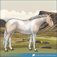 Horse Color:Silver Blue Roan Pearl Tobiano Frame 