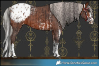 Horse Color:Bay Sabino Splash Blanket  and Silver Bay Sabino Splash Blanket 