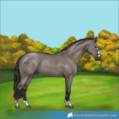 Horse Color:Smoky Grullo 