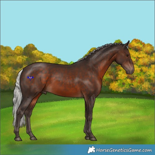 Horse Color:Silver Brown 