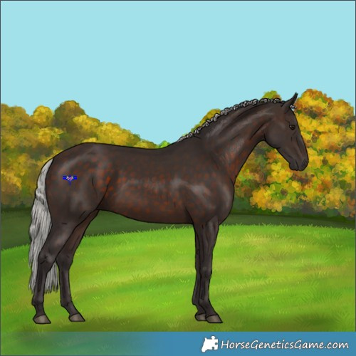 Horse Color:Silver Brown 