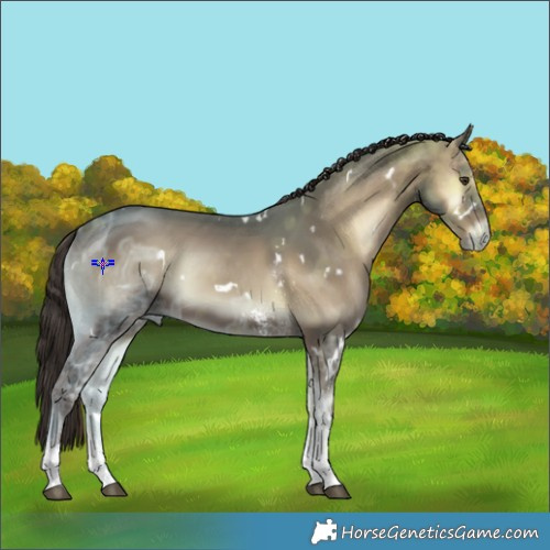 Horse Color:White Spotted Liver Red Onyx Ice Sabino 