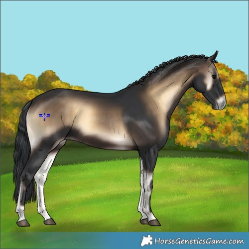 Horse Color:Brown Onyx 