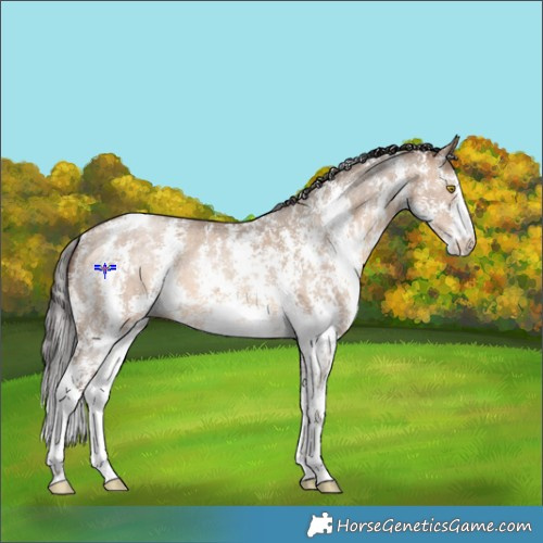 Horse Color:Sable Champagne Dun Sabino 