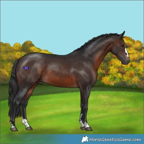 Horse Color:Brown 