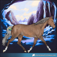 Horse Color:Silver Brown Dun