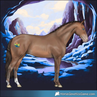 Horse Color:Sable Champagne