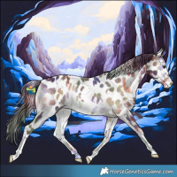 Horse Color:Nacre White Spotted Liver Red Onyx Appaloosa 