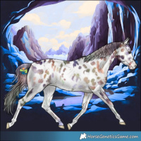 Horse Color:Nacre White Spotted Liver Red Onyx Near Leopard 