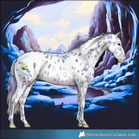 Horse Color:Nacre Watercolor White Spotted Bay Near Leopard 
