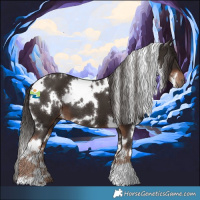 Horse Color:White Spotted Liver Chestnut 