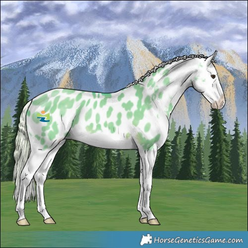 Horse Color:Watercolor White Spotted Chocolate Palomino Dun Splash Blanket 