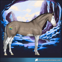 Horse Color:Brown Dun Splash 