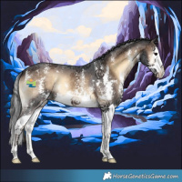 Horse Color:Brown Onyx Sabino Splash 