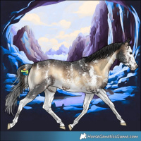 Horse Color:Brown Onyx Sabino Splash 