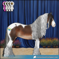 Horse Color:White Spotted Liver Chestnut Tobiano