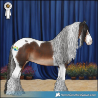 Horse Color:White Spotted Liver Chestnut Tobiano 