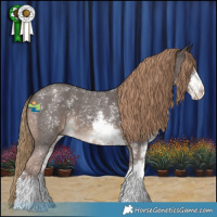 Horse Color:Liver Chestnut Sabino 