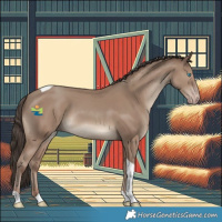 Horse Color:Classic Champagne Tobiano 